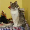 Отзыв от Анастасия Дементьева